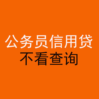 田东公务员信用贷款